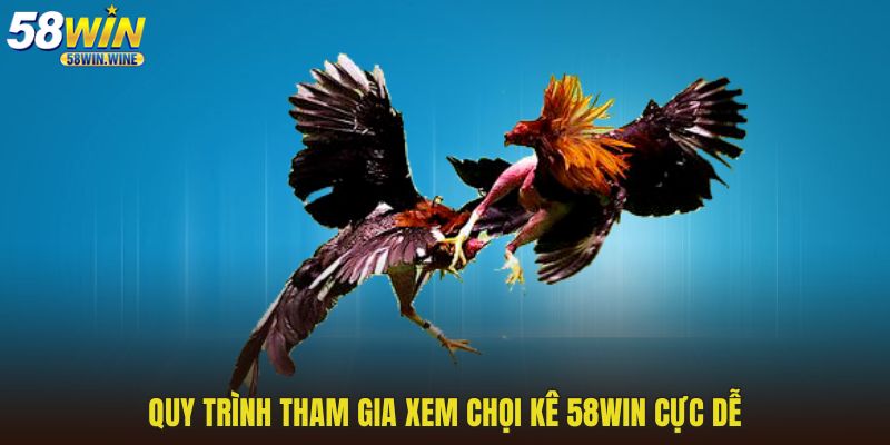 Quy trình tham gia xem chọi kê 58WIN cực dễ