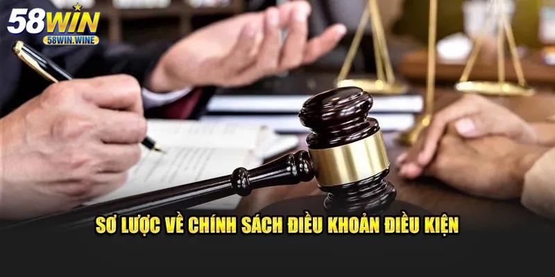 Điều khoản sử dụng dịch vụ của nhà cái 58WIN